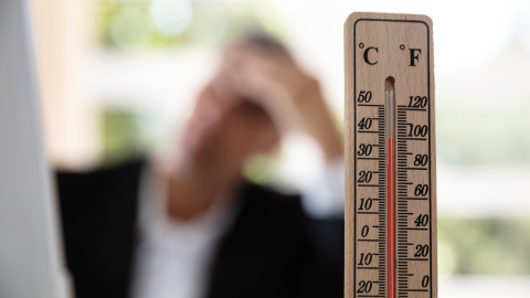 opbaren met warm weer hesselmans en van willegen