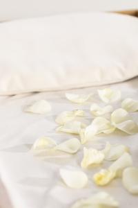 Kussen met matras wit