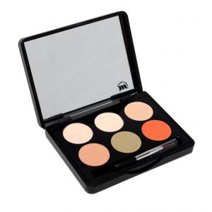 Concealer camouflage overledene