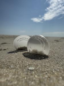 Oogkapjes biologisch afbreekbaar uitvaartbenodigdheden